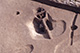 FileNo.S011-077.jpg
