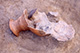 FileNo.S011-081.jpg