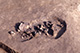 FileNo.S011-083.jpg