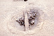 FileNo.S011-102.jpg