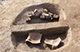 FileNo.S011-103.jpg