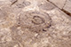 FileNo.S011-113.jpg