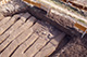 FileNo.qS011-075.jpg