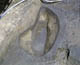 FileNo.012a-007.jpg