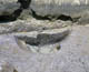 FileNo.012a-009.jpg