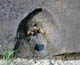 FileNo.012a-011.jpg