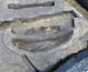 FileNo.012a-014.jpg