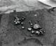 FileNo.012b-003.jpg