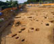 FileNo.013a-006.jpg