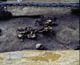 FileNo.014-001.jpg