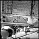 FileNo.KU-0337.jpg