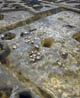 FileNo.015-009.jpg