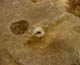 FileNo.015-013.jpg