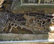 FileNo.015-015.jpg