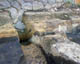FileNo.015-017.jpg