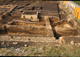 FileNo.015-S01.jpg