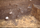 FileNo.015-S10.jpg