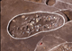 FileNo.015-S36.jpg