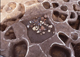 FileNo.015-S37.jpg