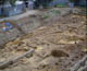 FileNo.016-005.jpg