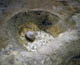 FileNo.016-009.jpg