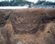 FileNo.016-022.jpg