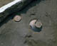 FileNo.017-010.jpg
