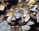 FileNo.017-025.jpg