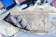 FileNo.017-S016.jpg