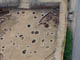 FileNo.018-003.jpg
