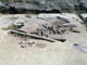 FileNo.018-006.jpg