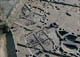FileNo.018-022.jpg