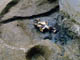 FileNo.018-032.jpg