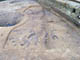 FileNo.018-034.jpg
