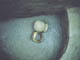 FileNo.018-040.jpg