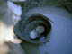FileNo.018-042.jpg