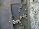 FileNo.018-044.jpg