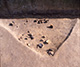 FileNo.S018-003.jpg