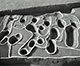 FileNo.S018-010.jpg