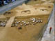 FileNo.019-004.jpg
