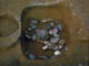 FileNo.019-006.jpg