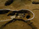 FileNo.019-010.jpg