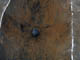 FileNo.019-031.jpg