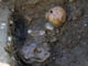 FileNo.019-034.jpg
