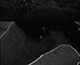 FileNo.S019-002.jpg