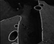 FileNo.S019-003.jpg