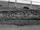 FileNo.020-007.jpg