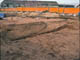 FileNo.020-008.jpg