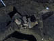 FileNo.021-001.jpg