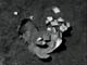 FileNo.021-008.jpg